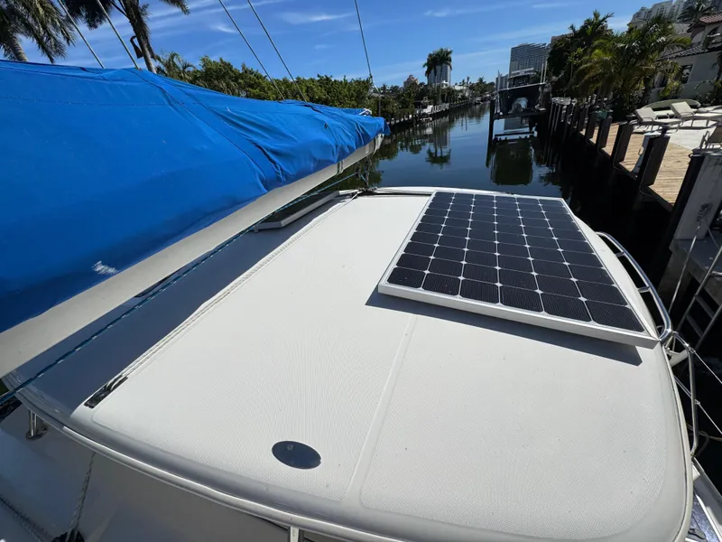 Slide: The Image of Leopard 40 2006 - 8