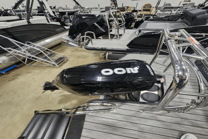 Slide: The Image of Harris Solstice 230 2025 - 10