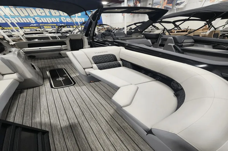 Slide: The Image of Harris Solstice 230 2025 - 3