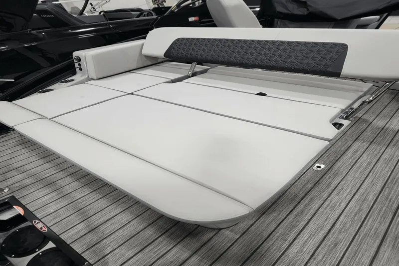 Slide: The Image of Harris Solstice 230 2025 - 6