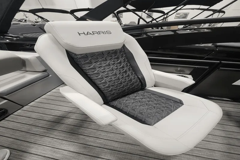 Slide: The Image of Harris Solstice 230 2025 - 8