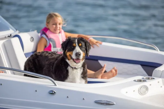 Slide: The Image of Hurricane SunDeck 217 OB 2025 - 25