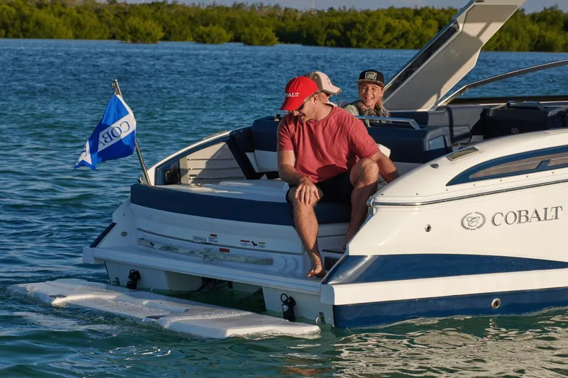 Slide: The Image of Cobalt A29 2025 - 1