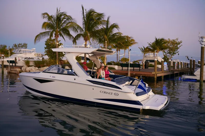 Slide: The Image of Cobalt A29 2025 - 13