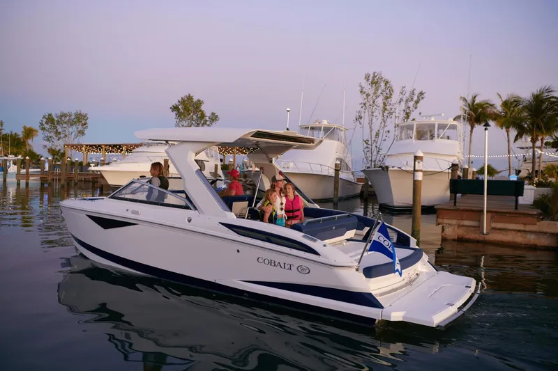 Slide: The Image of Cobalt A29 2025 - 16