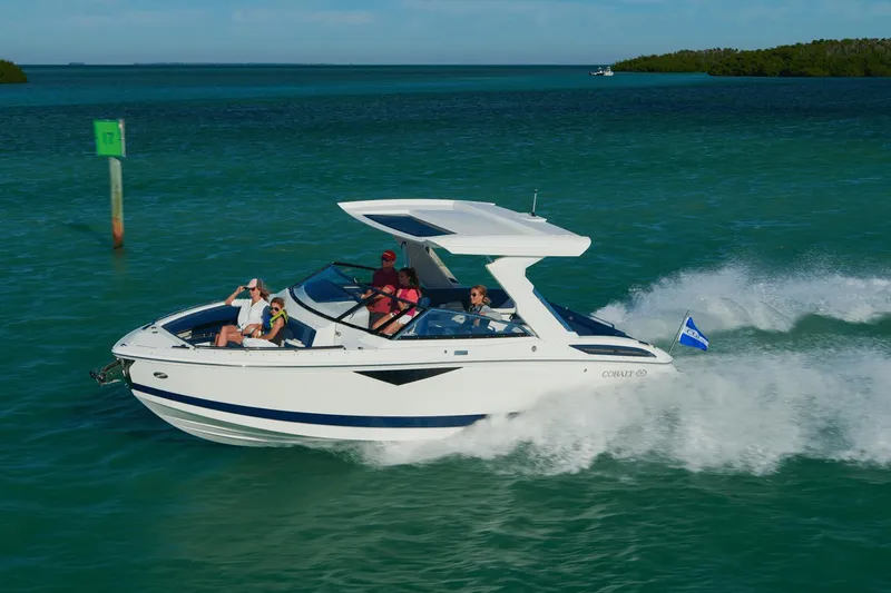 Slide: The Image of Cobalt A29 2025 - 22