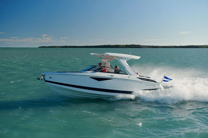 Slide: The Image of Cobalt A29 2025 - 32