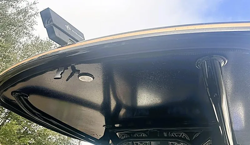 Slide: The Image of Statement 380 Open 2024 - 56