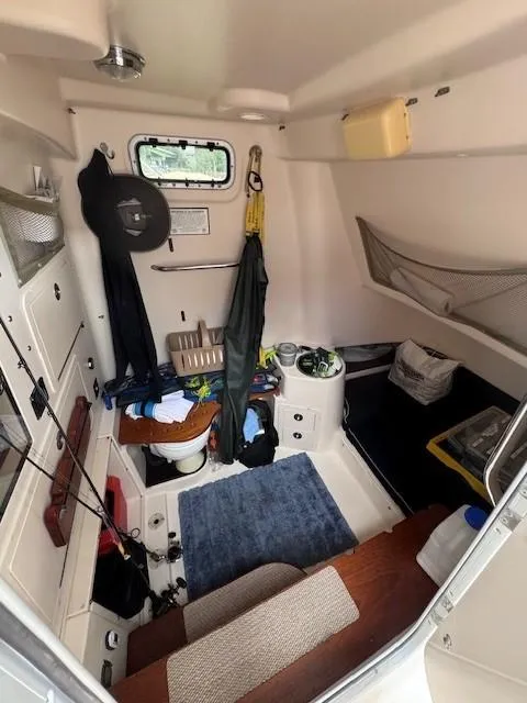 Slide: The Image of 2008 Grady-White 336 Canyon cabin interior with fishing gear and storage. - 31