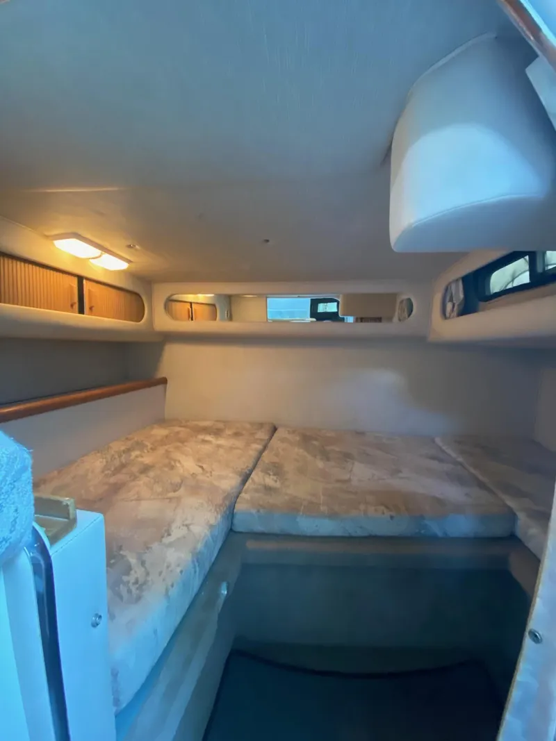 Slide: The Image of Sea Ray 290 Sundancer 1995 - 8