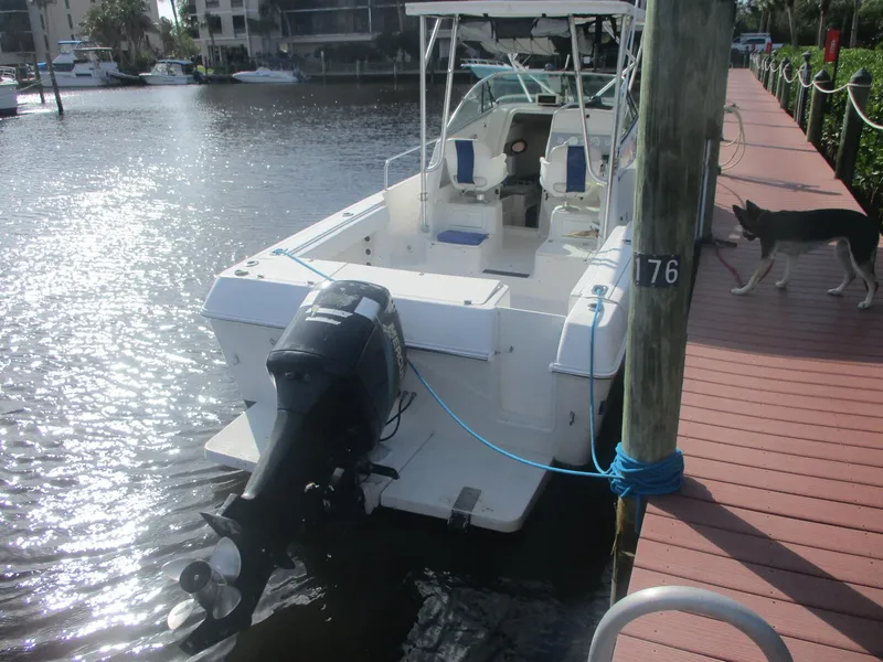 Slide: The Image of 1997 Pro-Line 251 WA boat docked by a waterfront, with an outboard motor. - 3