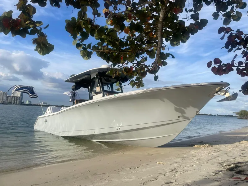 Slide: The Image of 2022 Sea Hunt Ultra 305 SE boat on sandy beach under tree, calm water background. - 2