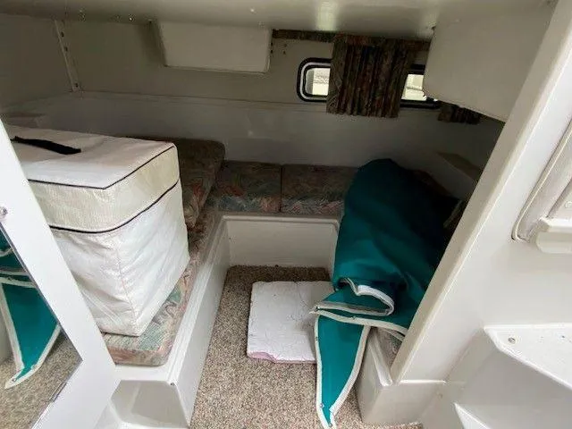 Slide: The Image of Image 19 - 19