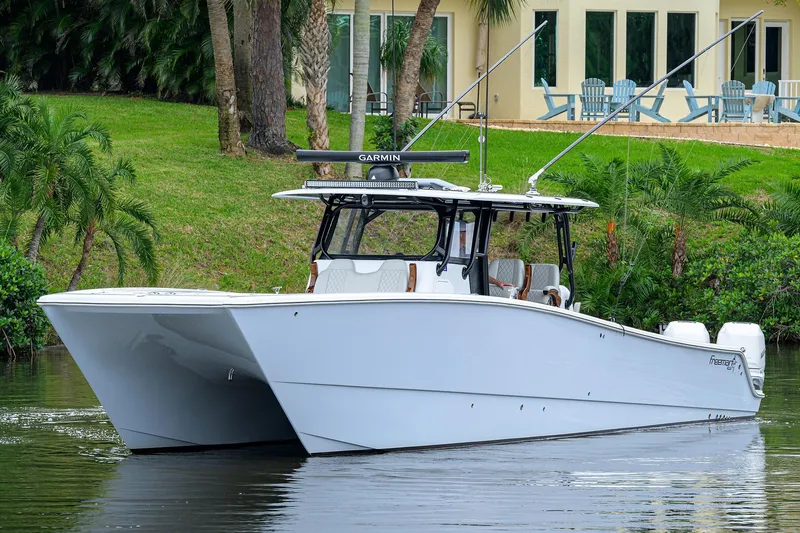 Slide: The Image of Freeman 42 Nitsa - Profile - 2