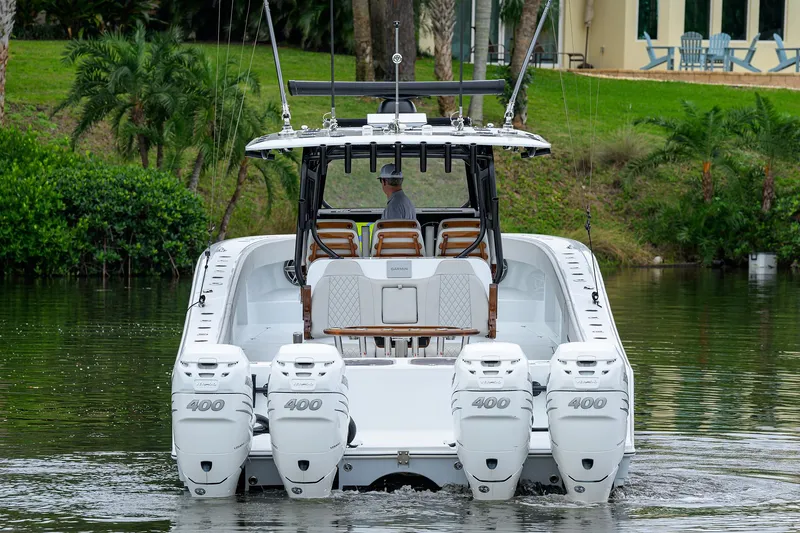 Slide: The Image of Freeman 42 Nitsa - Stern - 3