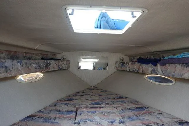 Slide: The Image of Image 17 - 17