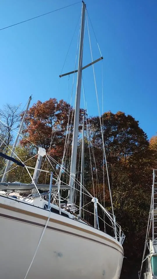 Slide: The Image of 1984 Catalina Sloop sailboat with tall mast, set against autumn trees and clear blue sky. - 3