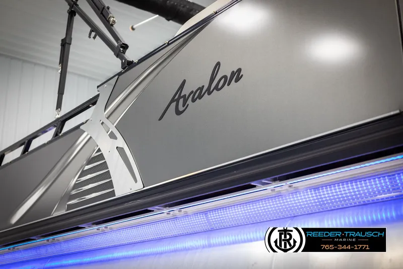 Slide: The Image of Avalon LSZ VRB 2021 - 50