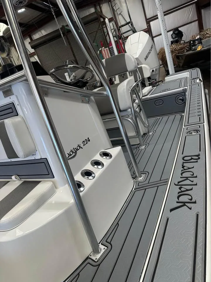 Slide: The Image of Blackjack 224 2024 - 7