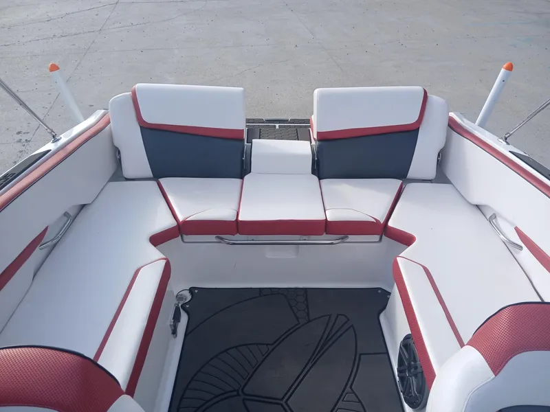 Slide: The Image of Scarab 215 2021 - 11