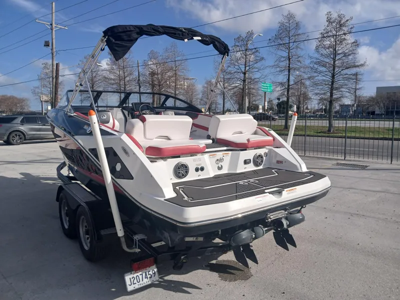 Slide: The Image of Scarab 215 2021 - 9