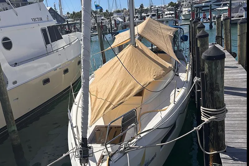 Slide: The Image of 2019 Jeanneau Sun Odyssey 490 sailboat docked with protective covers, marina background. - 8