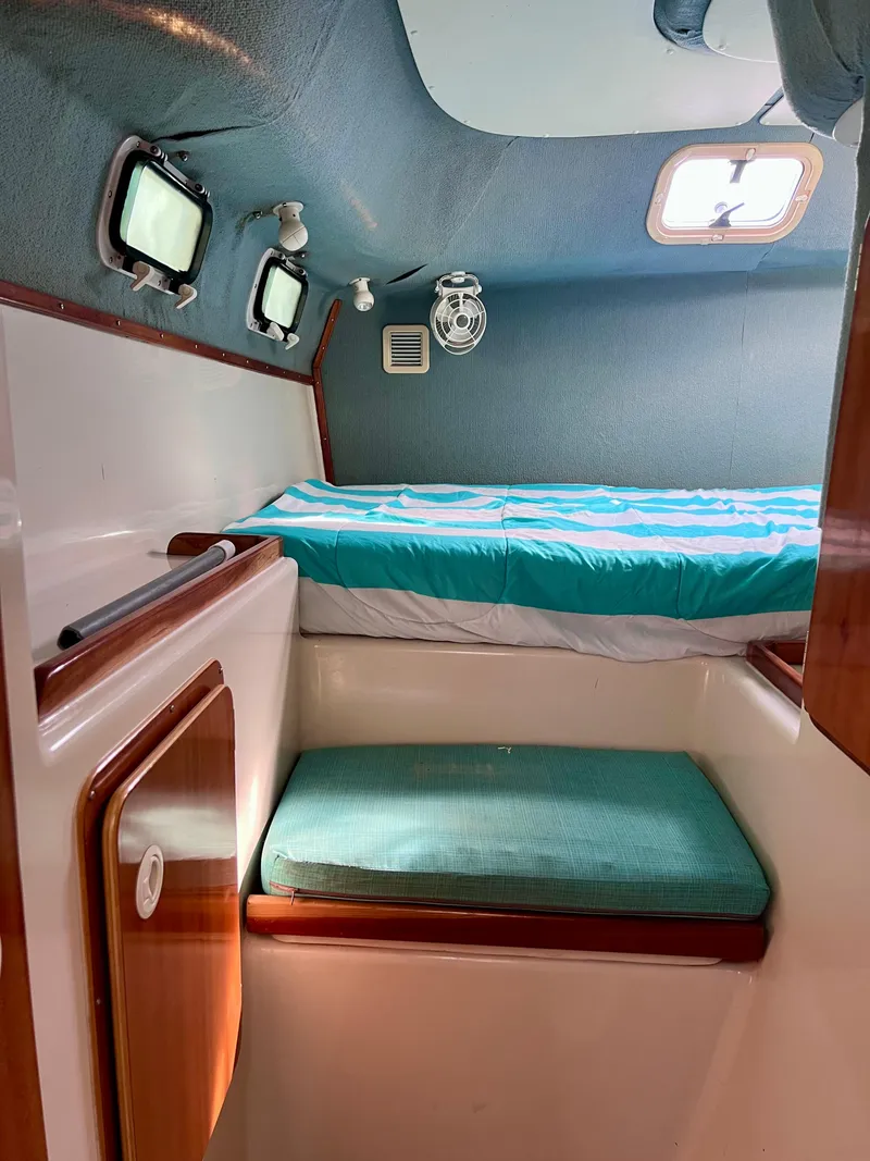 Slide: The Image of PDQ 32 Classic 1994 - 52