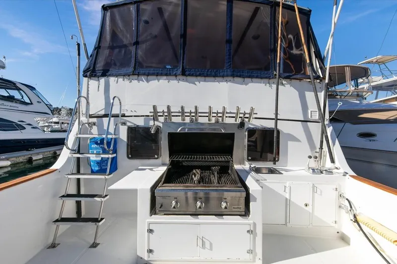 Slide: The Image of 1989 Lien Hwa Vitesse Yachtfisher with outdoor grill and seating area. - 46