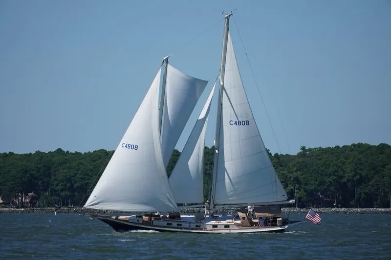 The Image of Cherubini Schooner 2000 sailing on a sunny day with lush green shoreline. - 0
