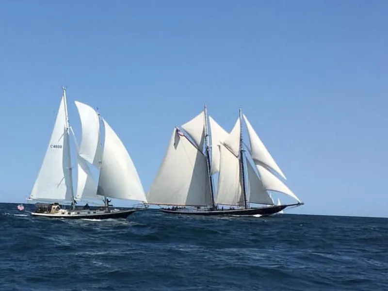 Slide: The Image of Two Cherubini Schooners sailing on the ocean under clear blue skies. - 13