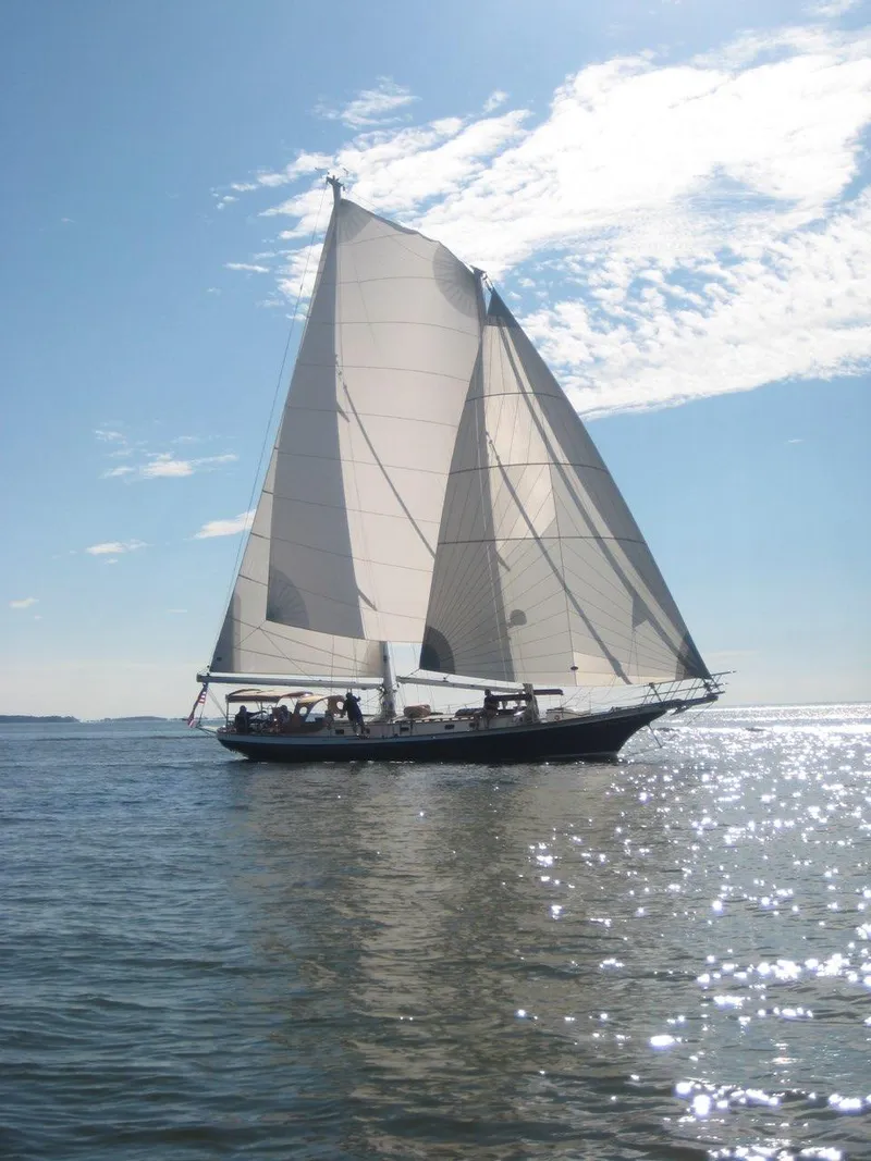 Slide: The Image of Cherubini Schooner 2000 sailing on a sunny day with clear skies and sparkling water. - 15