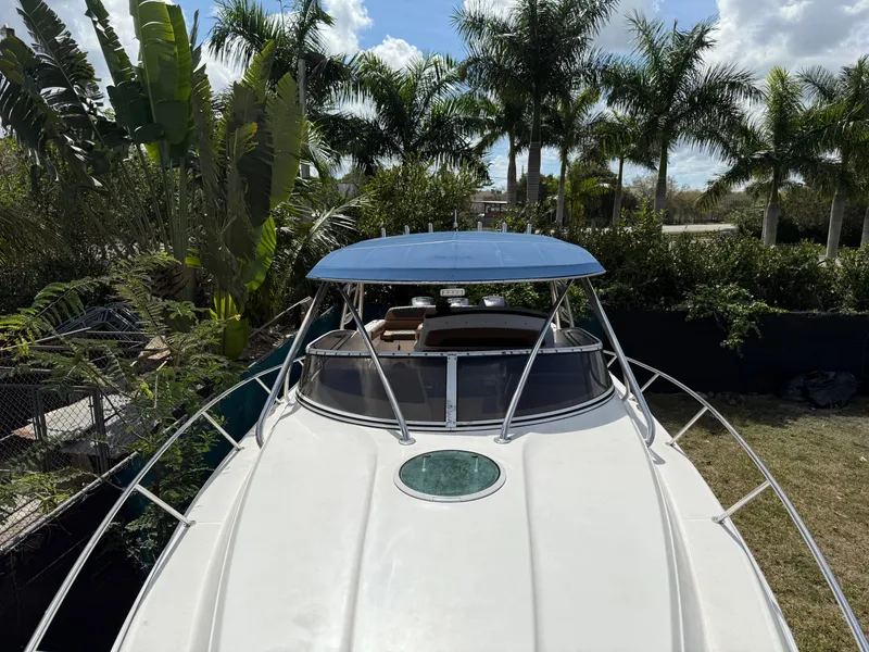 Slide: The Image of 2010 Fountain 38 LX boat with blue canopy, surrounded by tropical palm trees. - 38