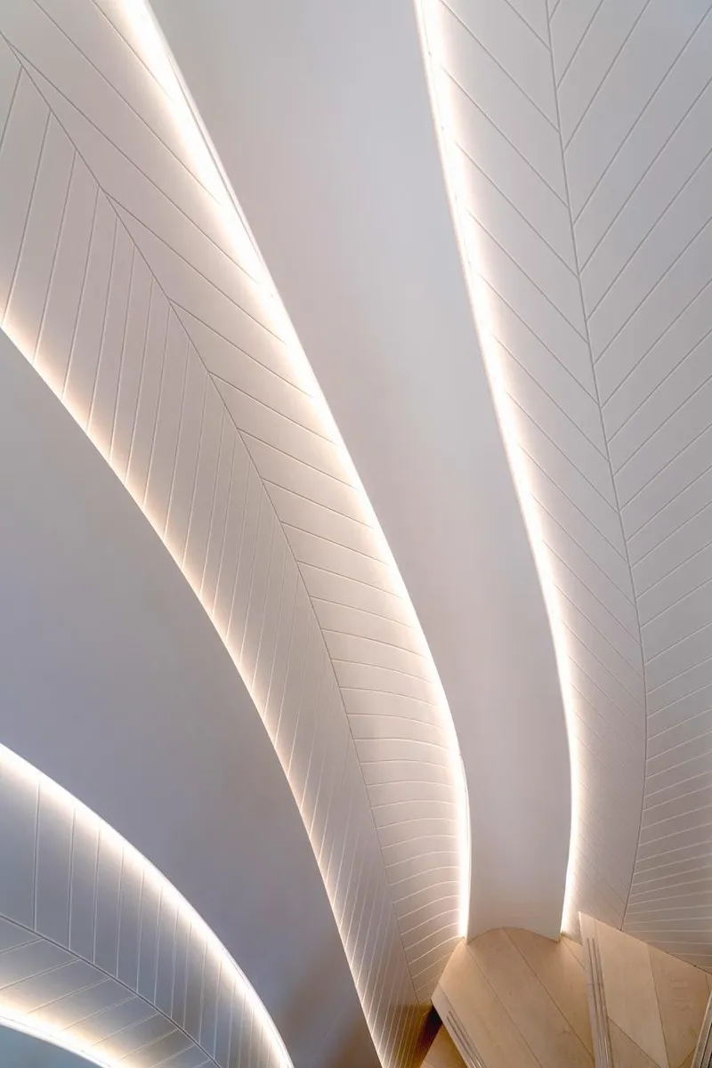 Slide: The Image of Majesty 100 Terrace 2025 - 52