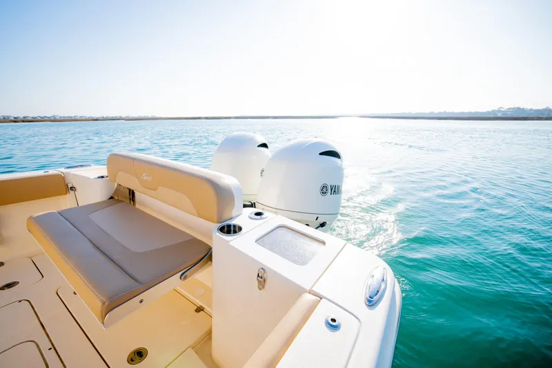 Slide: The Image of Scout 277 LXF 2021 - 51