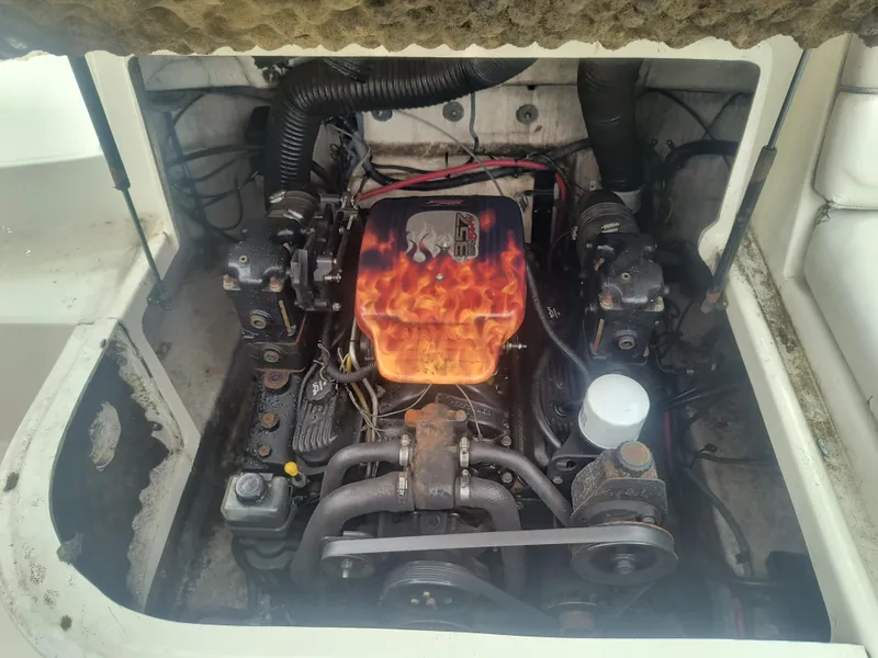 Slide: The Image of Engine compartment of a 2004 Sea Ray 240 Sundeck boat with a flame-designed cover. - 8