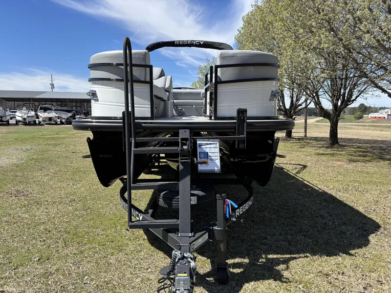 Slide: The Image of Regency 250 DL3 2025 - 4