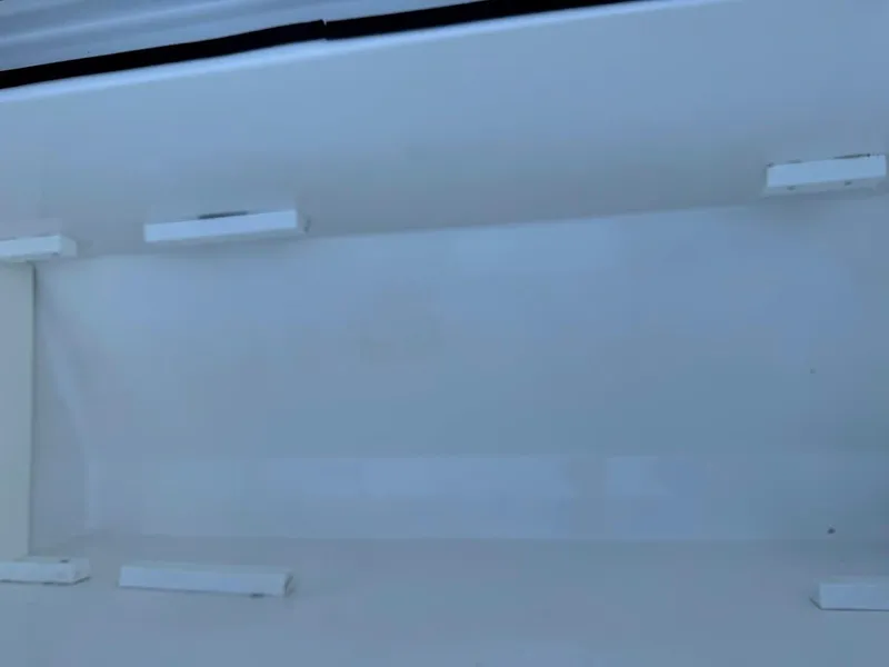 Slide: The Image of Empty white interior of Concept 392 Family Edition, 2018 model. - 43