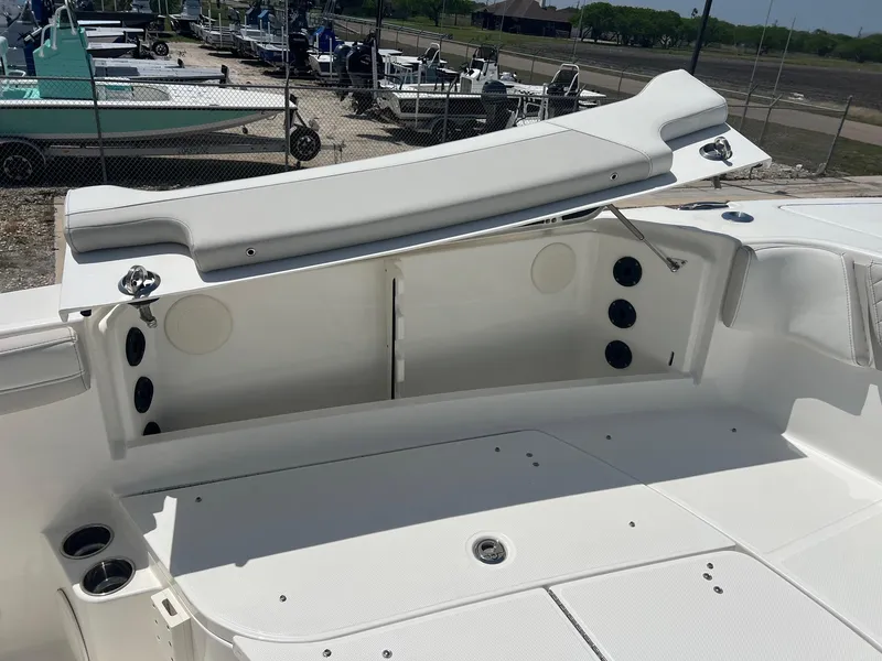 Slide: The Image of World Cat 295 CC 2024 - 12