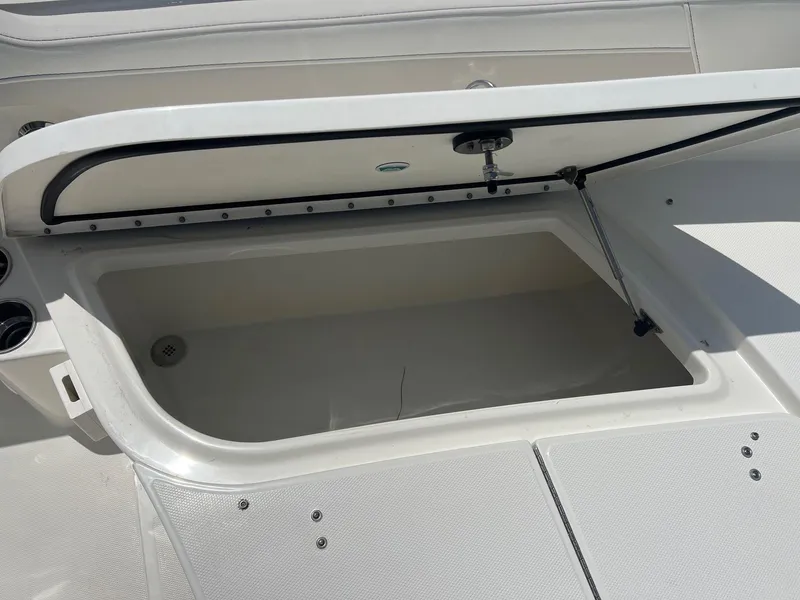 Slide: The Image of World Cat 295 CC 2024 - 13