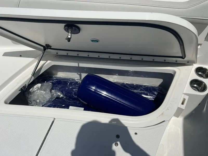 Slide: The Image of World Cat 295 CC 2024 - 14