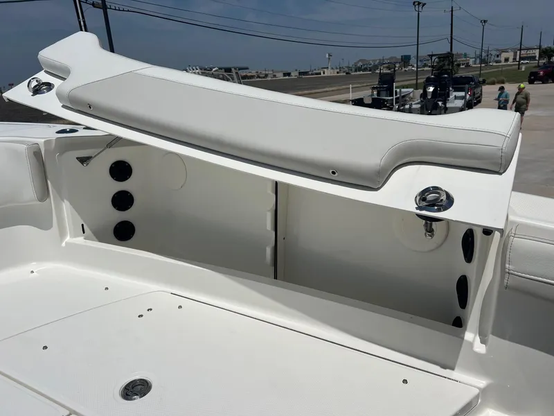 Slide: The Image of World Cat 295 CC 2024 - 15