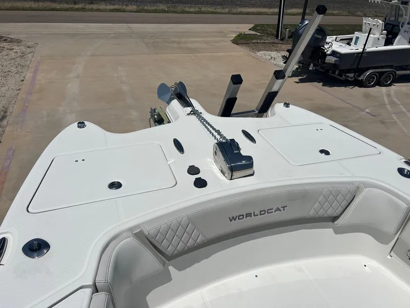 Slide: The Image of World Cat 295 CC 2024 - 17