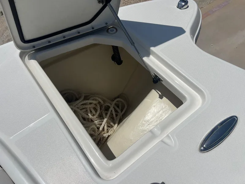 Slide: The Image of World Cat 295 CC 2024 - 18