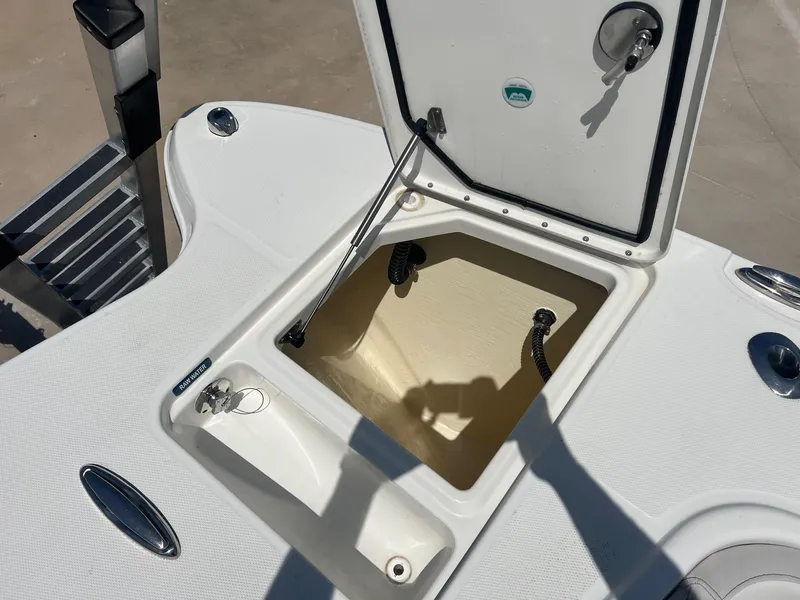 Slide: The Image of World Cat 295 CC 2024 - 19