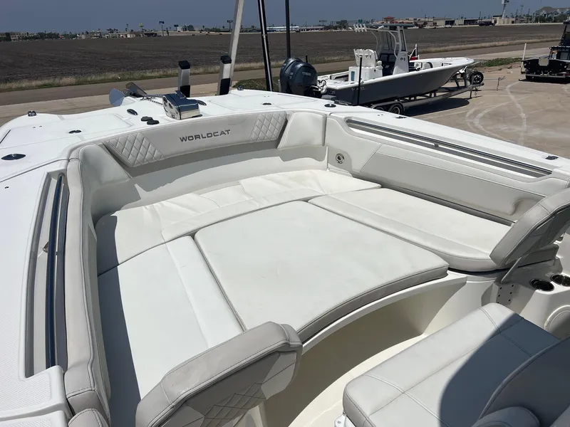 Slide: The Image of World Cat 295 CC 2024 - 22