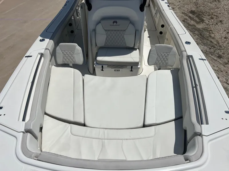 Slide: The Image of World Cat 295 CC 2024 - 23