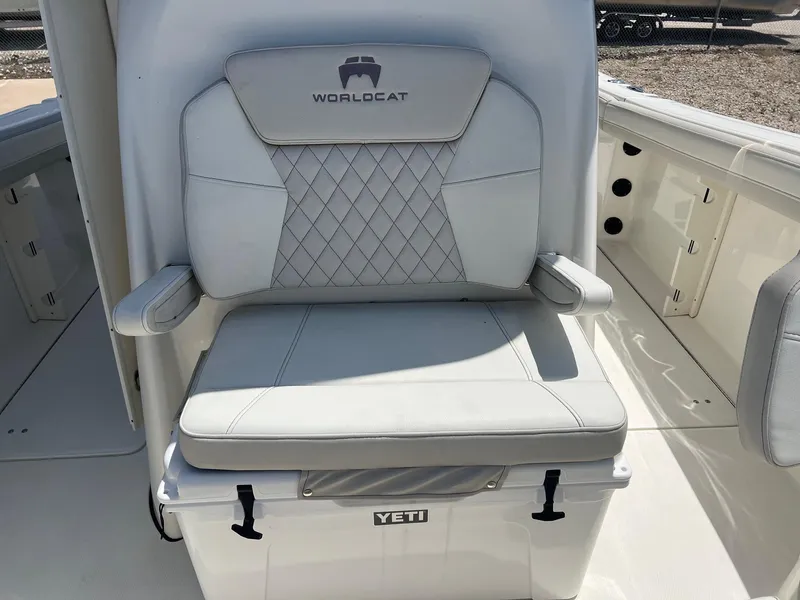 Slide: The Image of World Cat 295 CC 2024 - 24