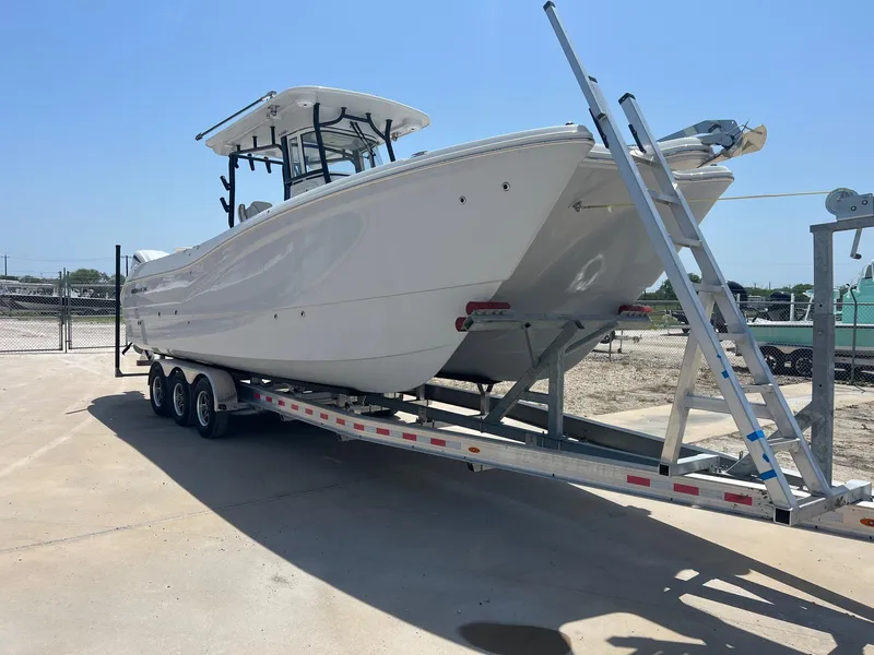 Slide: The Image of World Cat 295 CC 2024 - 3