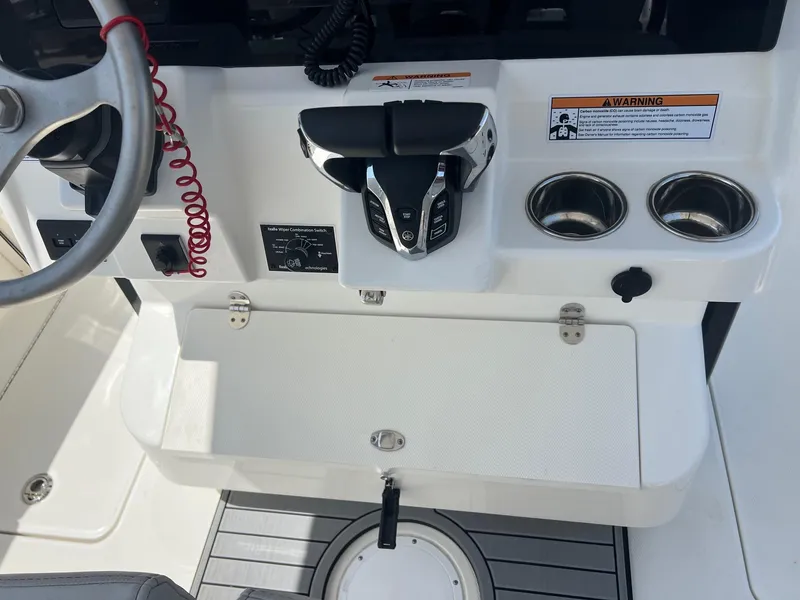 Slide: The Image of World Cat 295 CC 2024 - 30