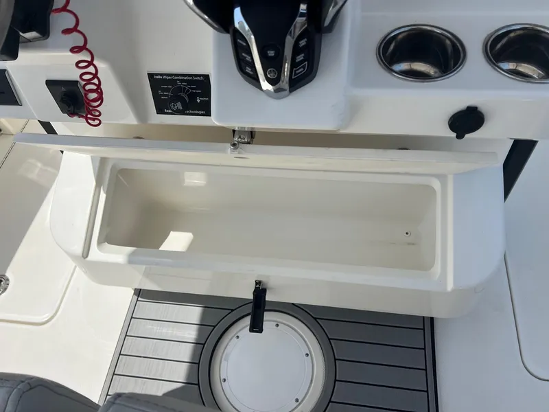 Slide: The Image of World Cat 295 CC 2024 - 31